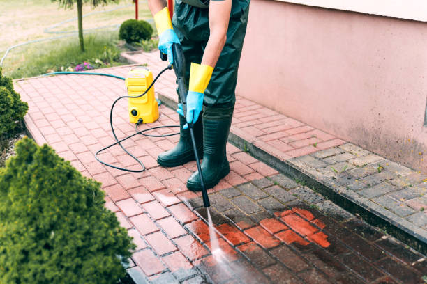 Best Dumpster Area Cleaning  in San Dimas, CA